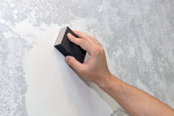 Best Mold-Related Health Consultation  in Riviera Beach, MD