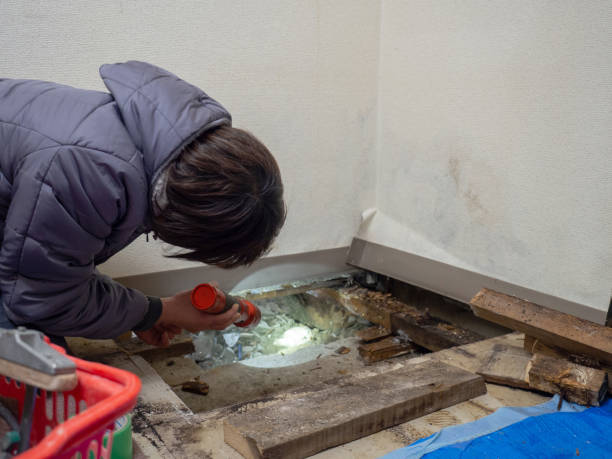Best Commercial Mold Inspection  in Riviera Beach, MD