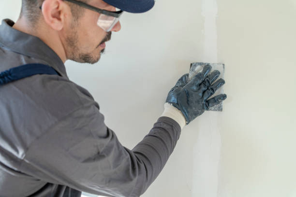 Best Mold Odor Removal Services  in Riviera Beach, MD