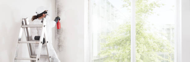 Best Water Damage & Mold Remediation  in Riviera Beach, MD