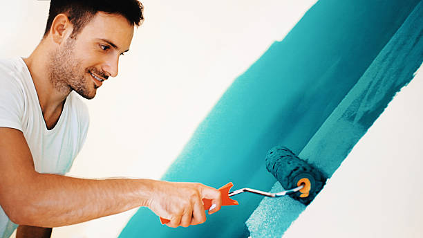 Best Emergency Mold Remediation  in Riviera Beach, MD