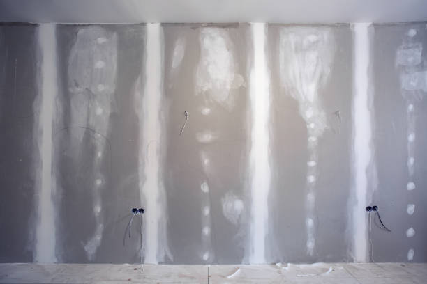 Best Air Quality Testing for Mold Spores  in Riviera Beach, MD